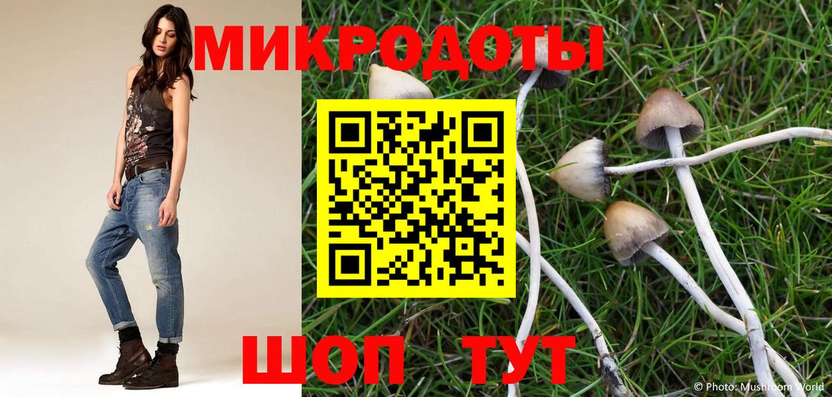 Галлюциногенные грибы GOLDEN TEACHER  Вход с VPN  дарнет шоп  Чапаевск 
