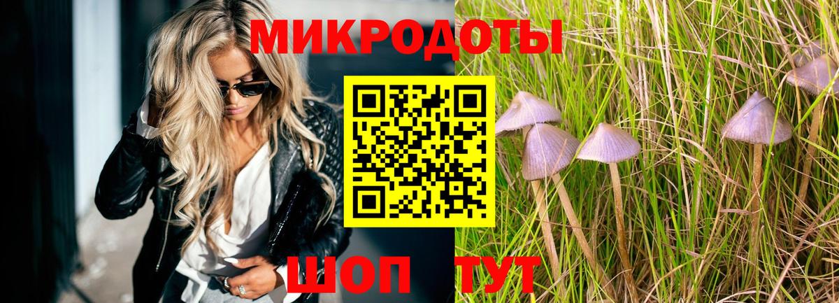 Псилоцибиновые грибы мухоморы Чапаевск